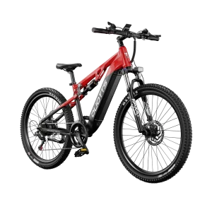 Vélo électrique Duotts E29