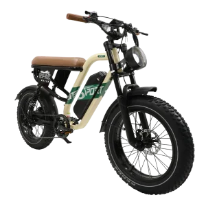 Vélo Fat Bike électrique Onesport W66